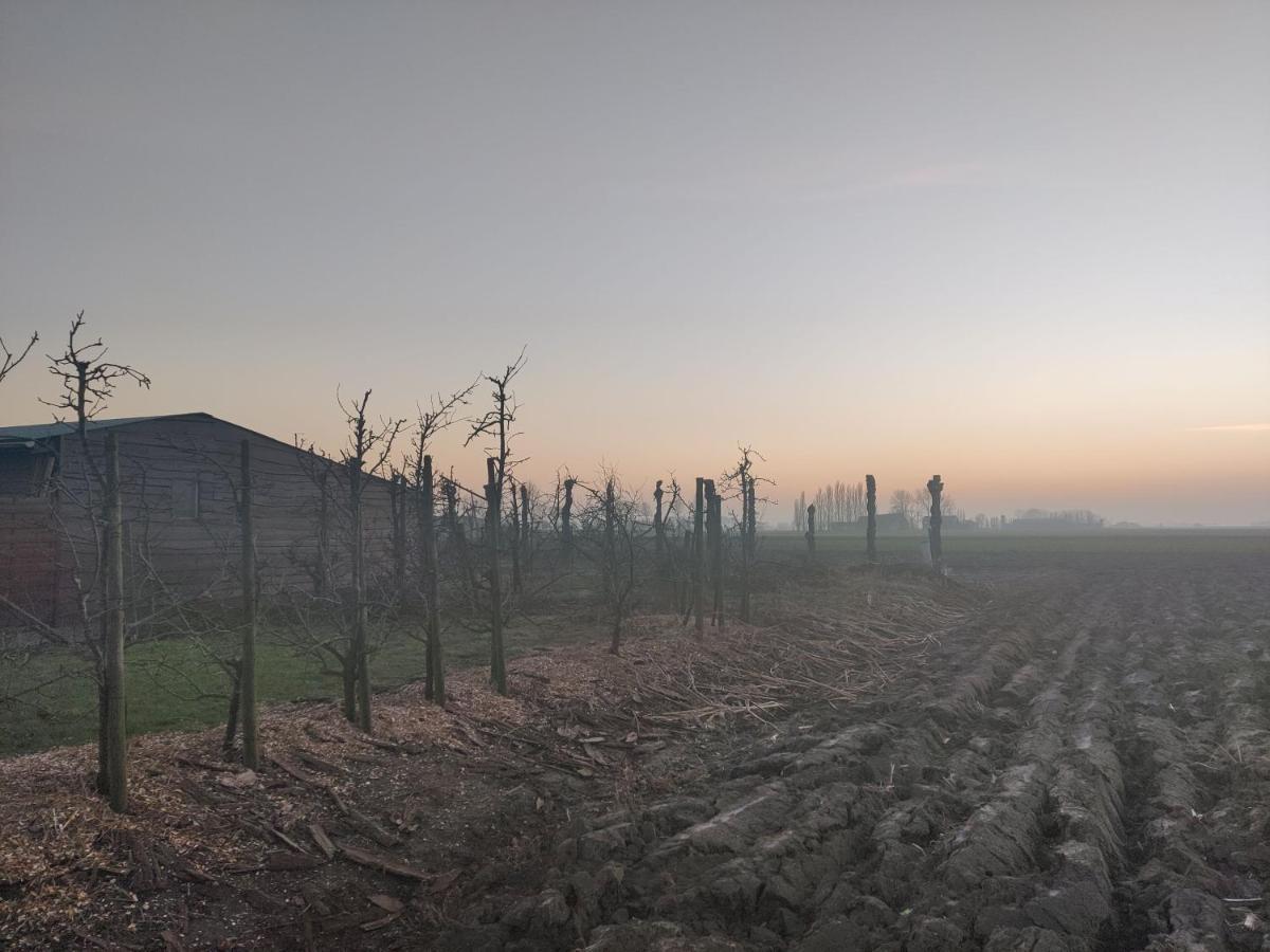 De Maretak Villa Meetkerke Bagian luar foto